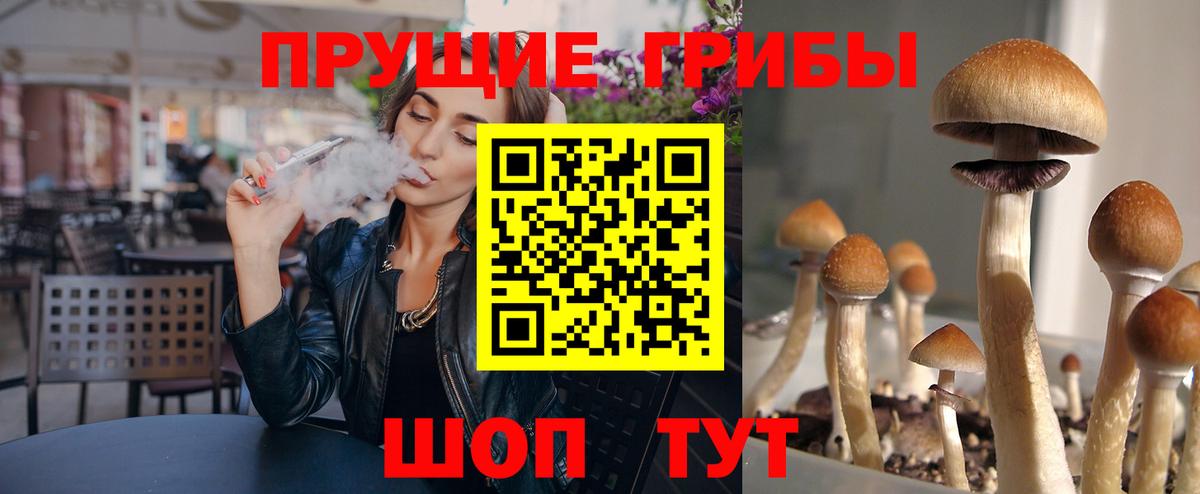 Галлюциногенные грибы GOLDEN TEACHER Краснокаменск